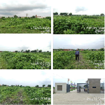 GIFT GALLERY-22052501